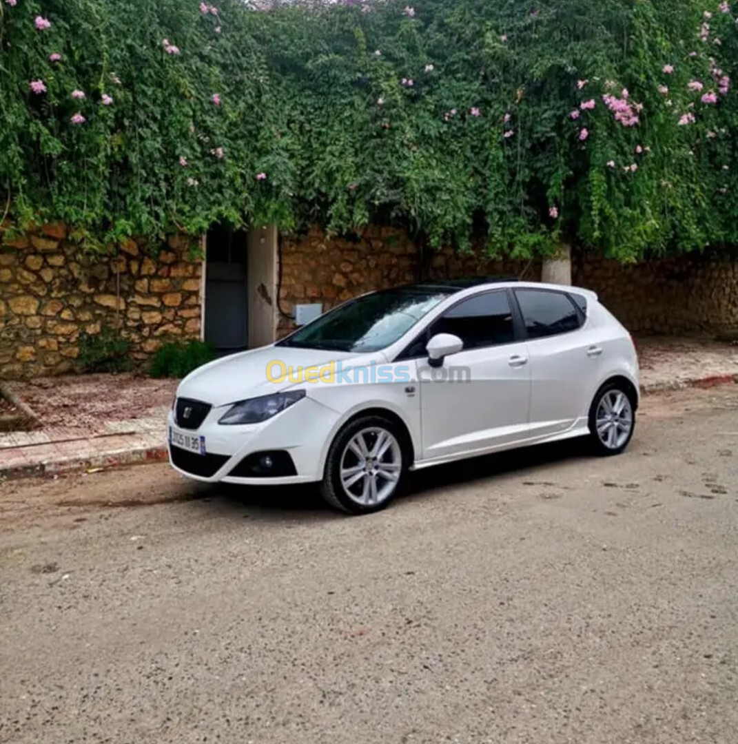 Seat Ibiza 2011 Edition 50