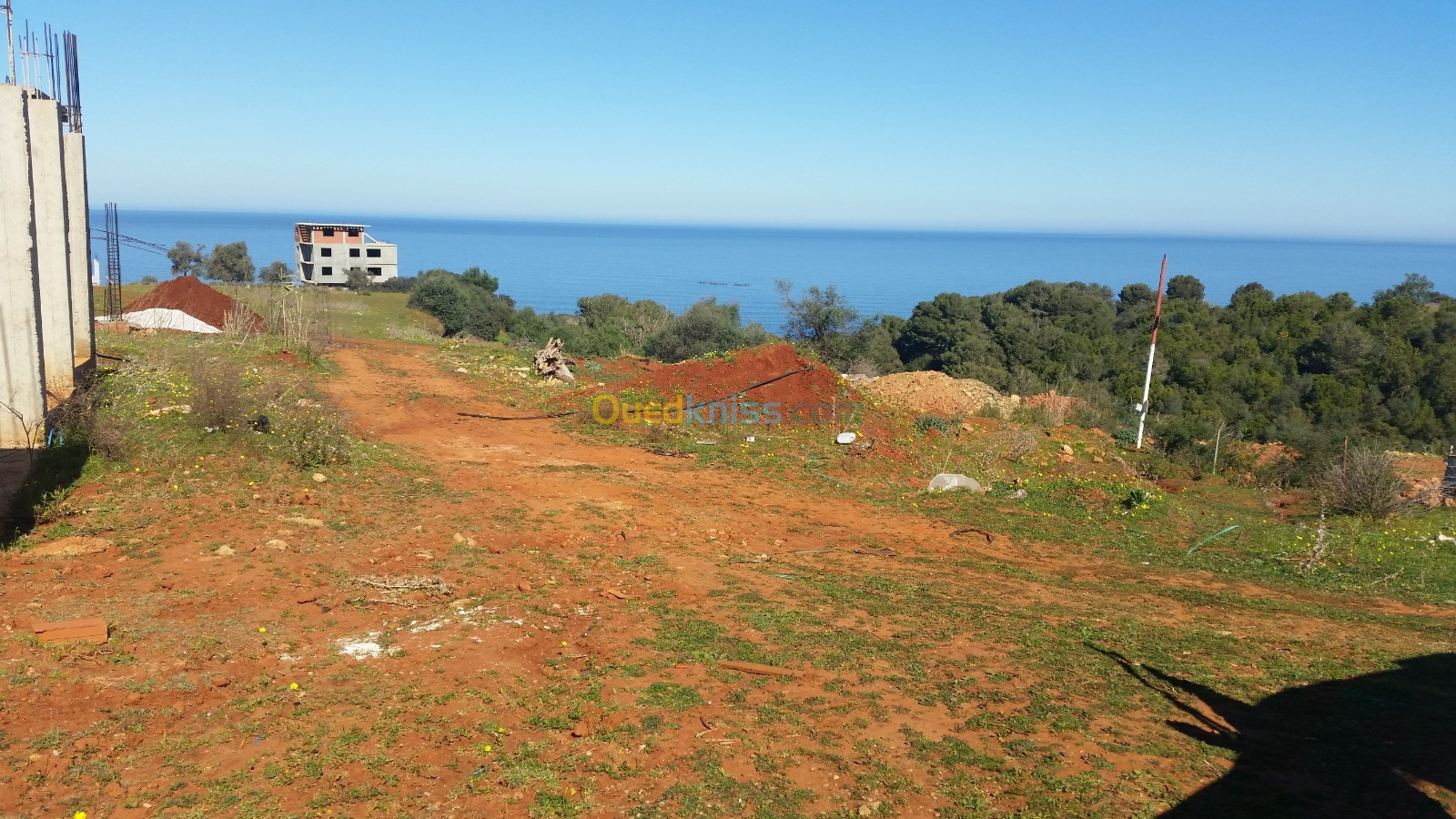 Vente Terrain Tipaza Ain tagourait