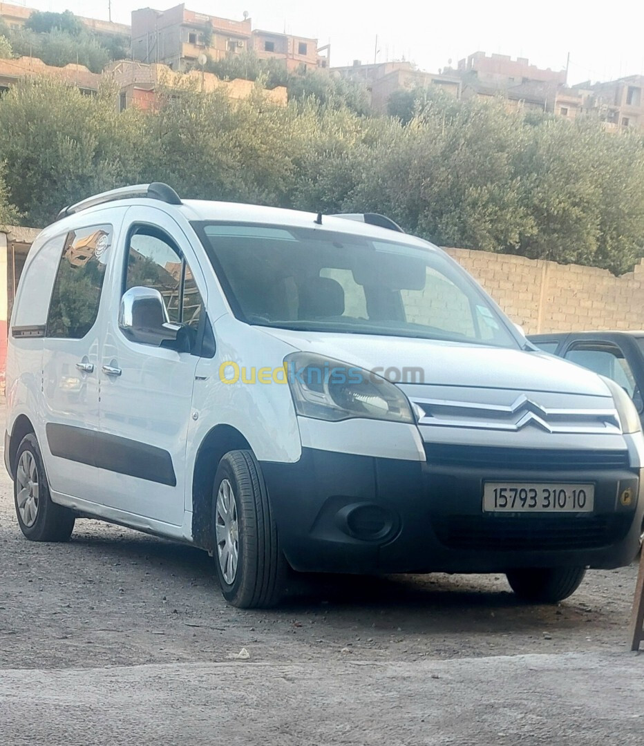 Citroen Berlingo 2010 Berlingo