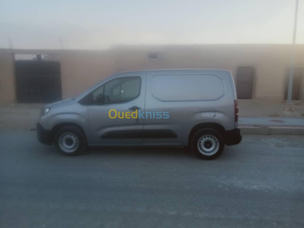 Fiat Doblo 2024 professional