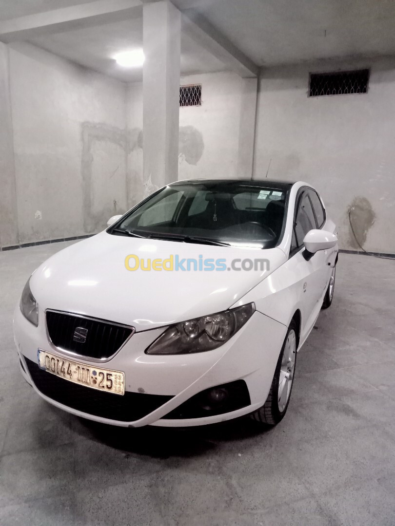 Seat Ibiza 2011 Loca