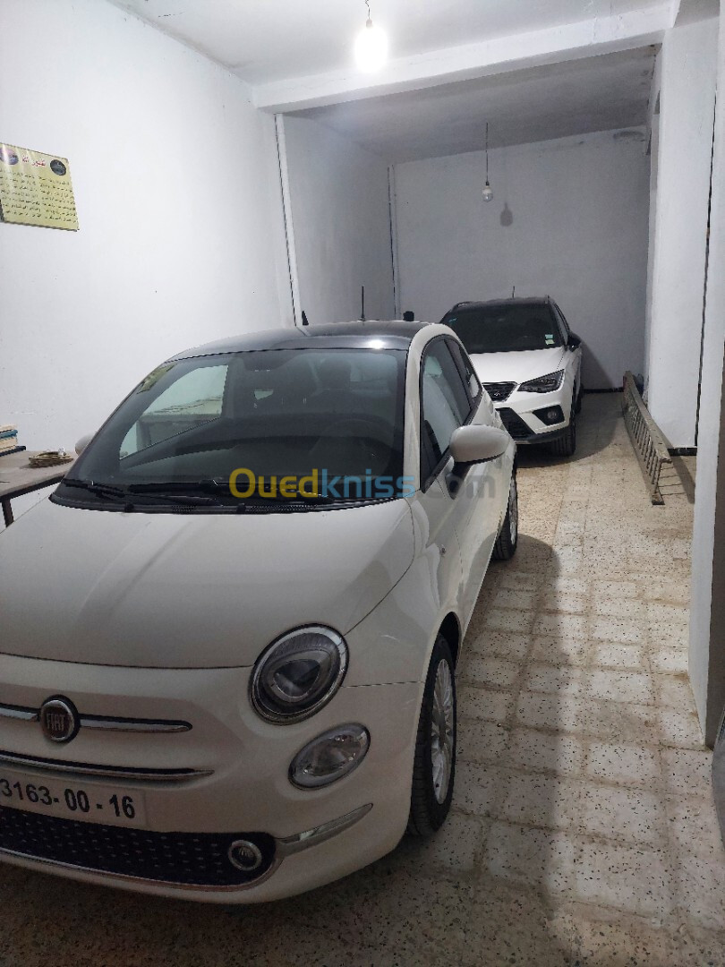 Fiat 500 2024 Clup