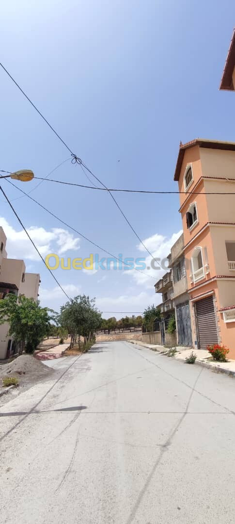 Vente Terrain Batna Batna