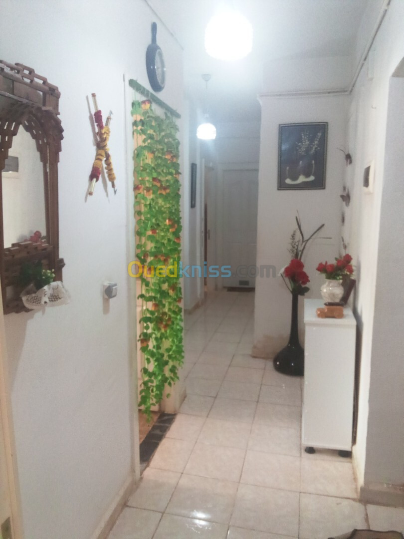 Location Appartement F3 Alger Zeralda