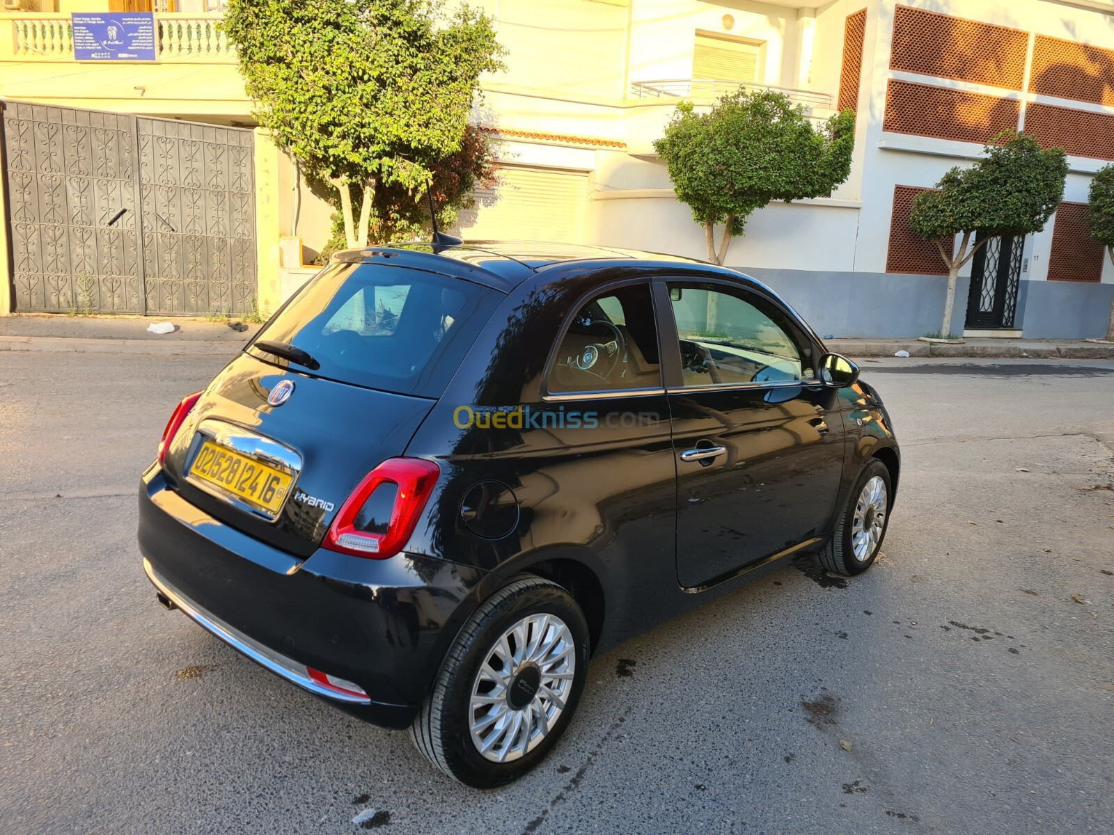 Fiat 500 2024 Club