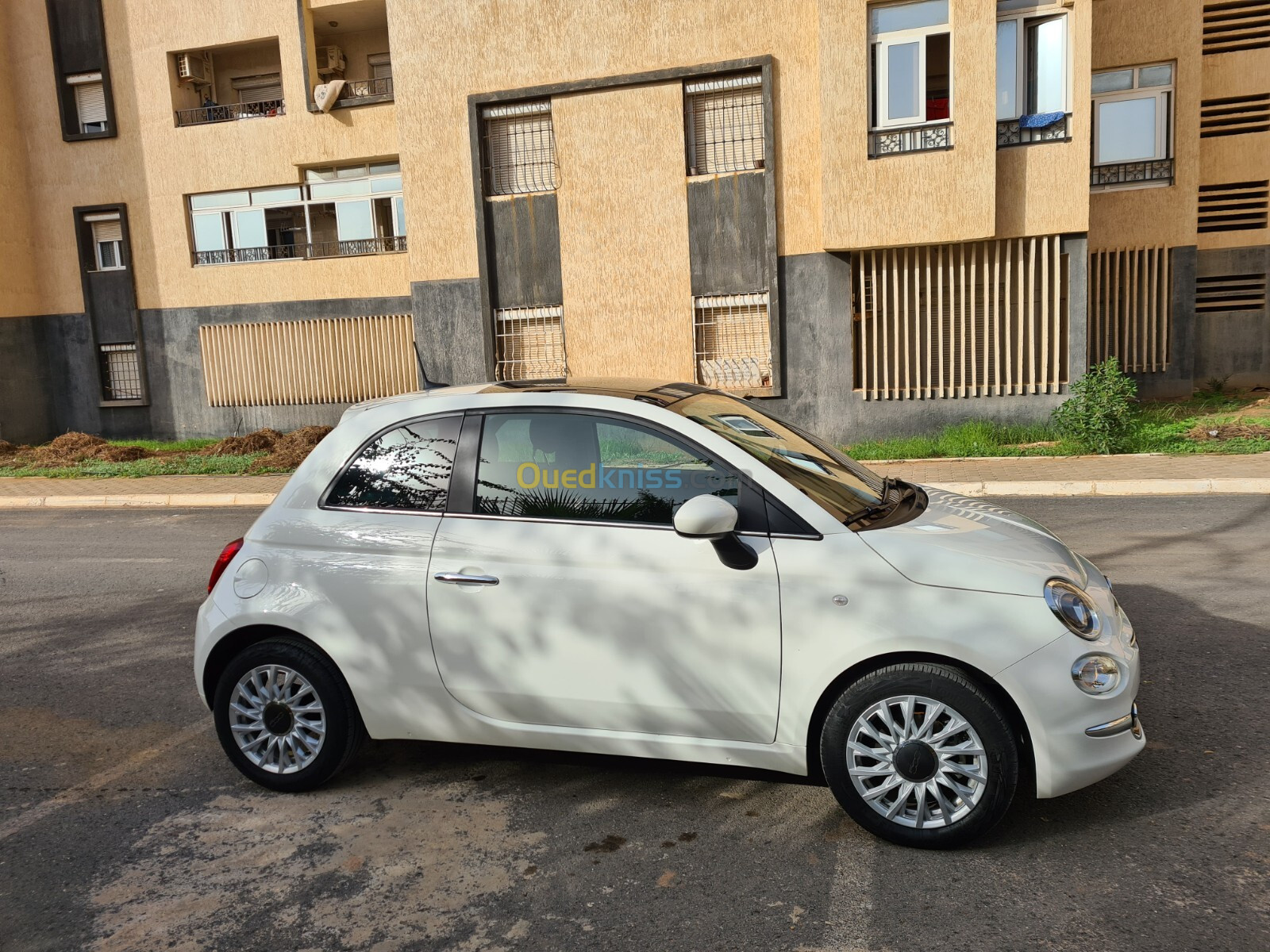 Fiat 500 2024 Club