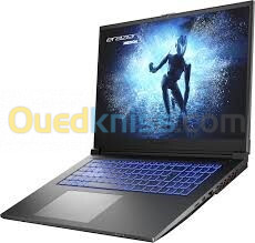 LAPTOP gaming ERAZER DEFENDER P50-MD 62587 I7-12650H DDR4 16Go NVMe.512GO RTX4070 17.3"144HZ/W11