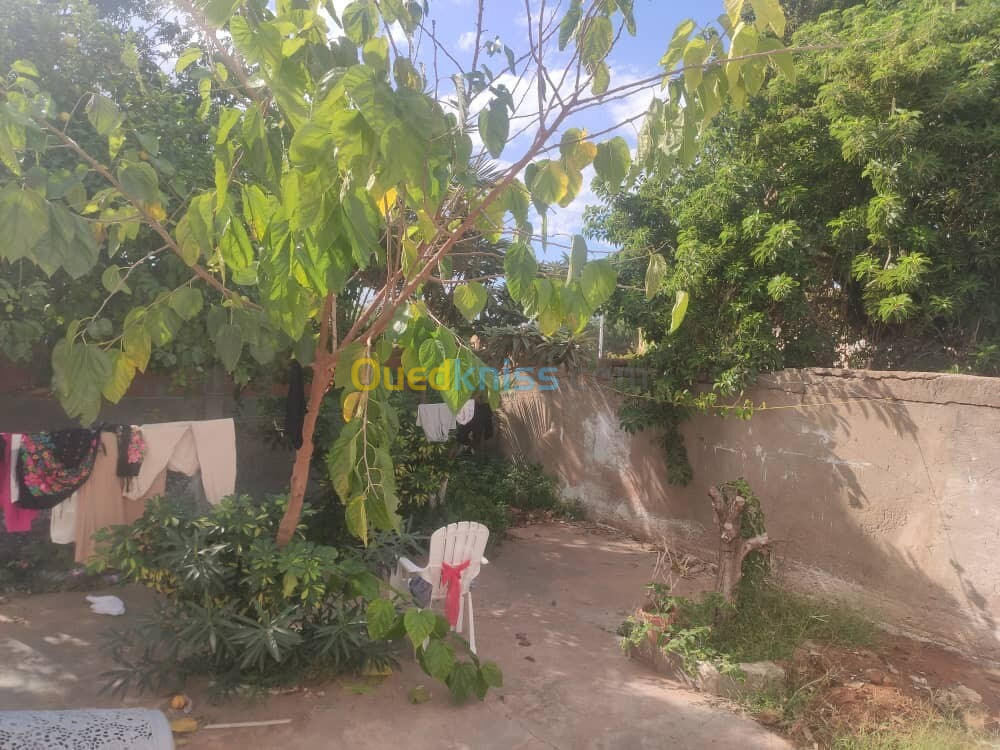 Vente Villa Tipaza Bou haroun