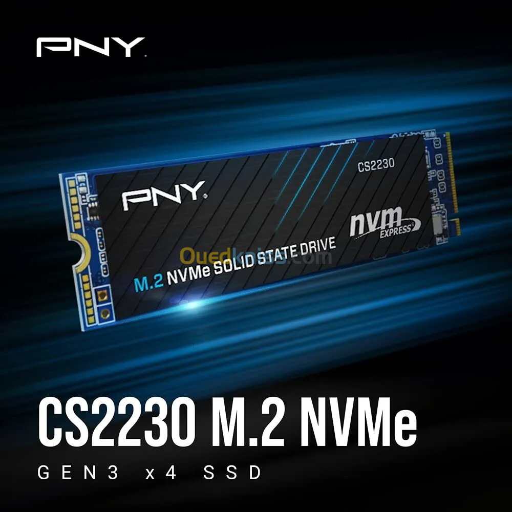 SSD NVME 1TB MARQUE PNY 