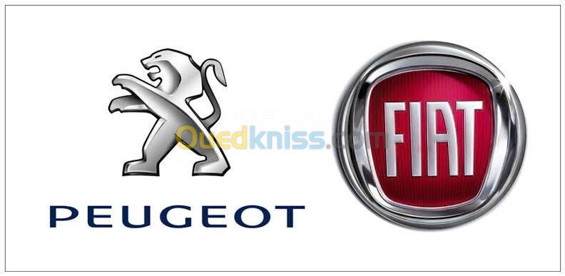 Pièce détaché Fiat Peugeot Citroën 