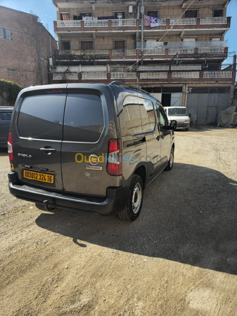 Fiat Doblo 2024 Professional