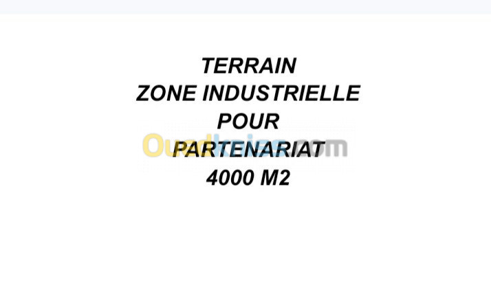 Location Terrain Oran Tafraoui