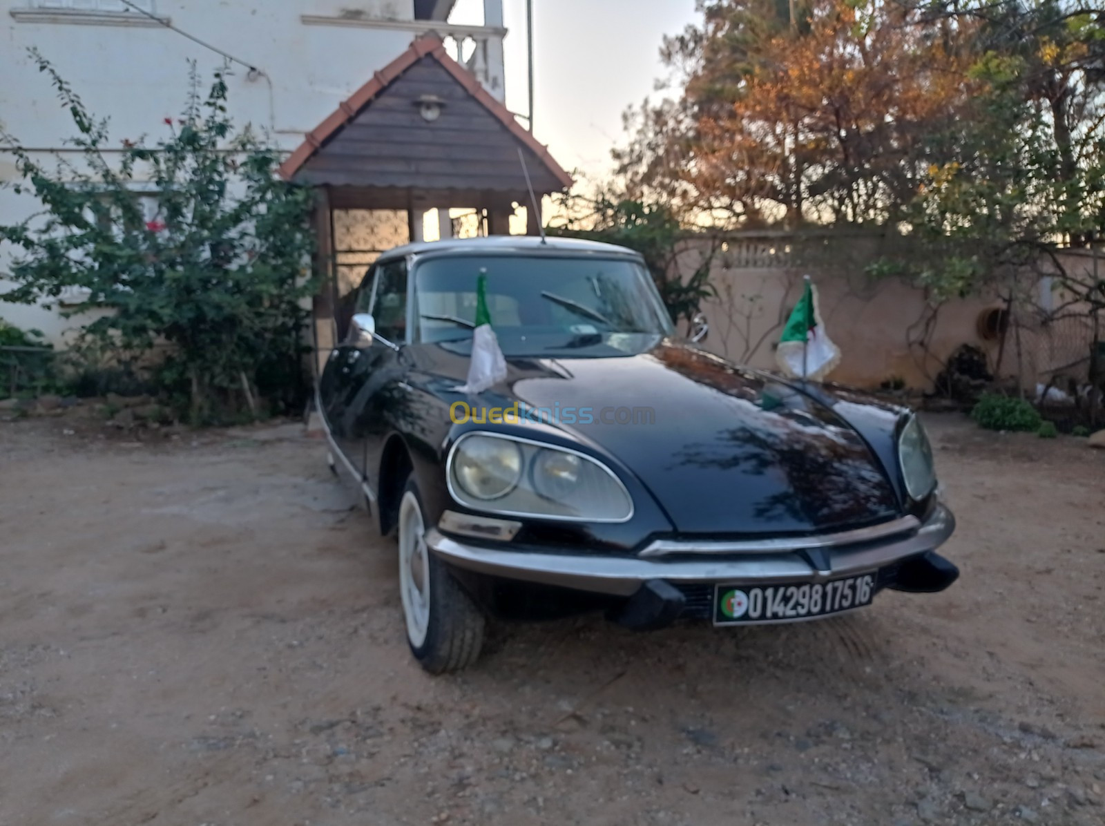 Citroen DS pallas 1975 Ds 21