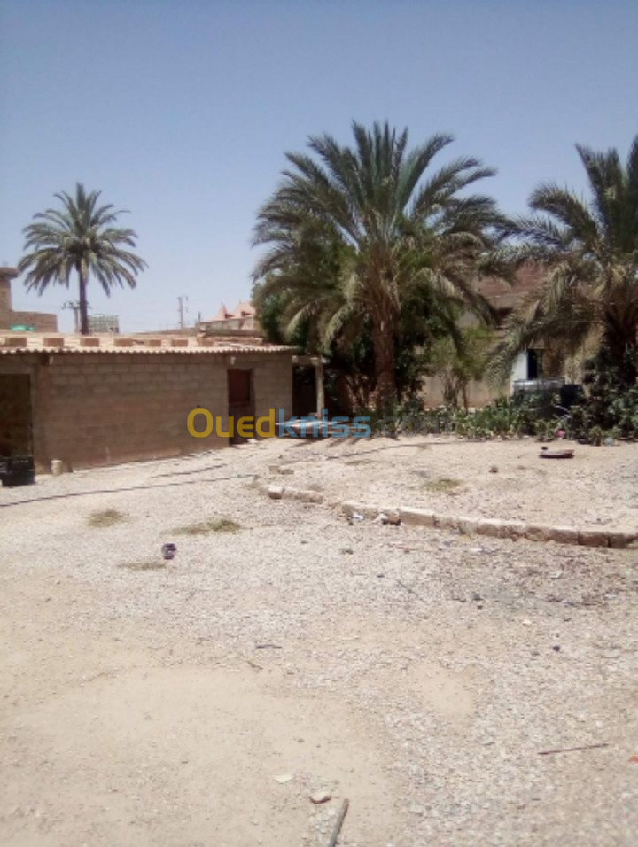 Vente Terrain Biskra Foughala