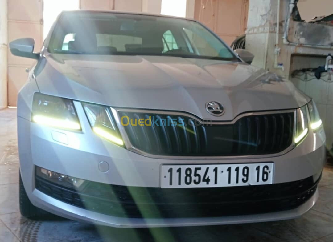 Skoda Octavia 2019 Clever