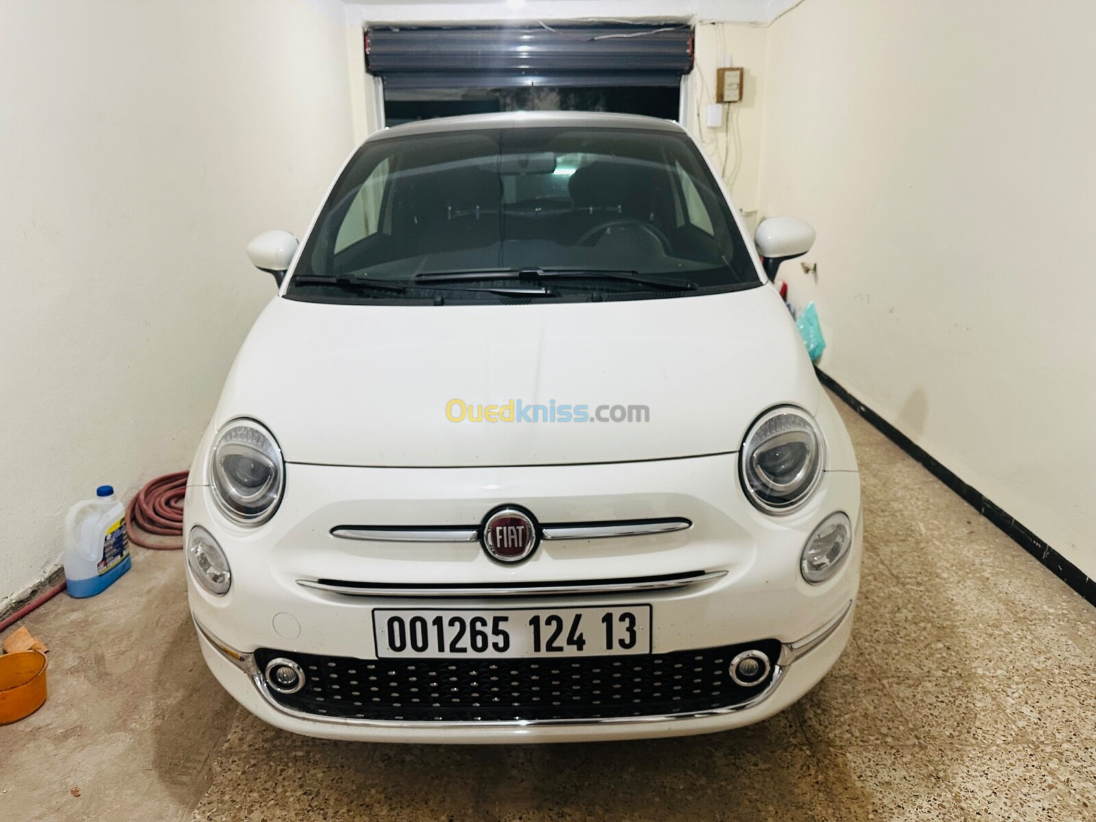 Fiat 500 club 2024 Club