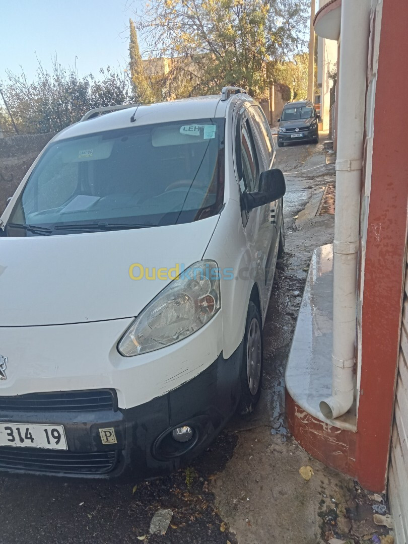 Peugeot B9 2014 1.6hdi