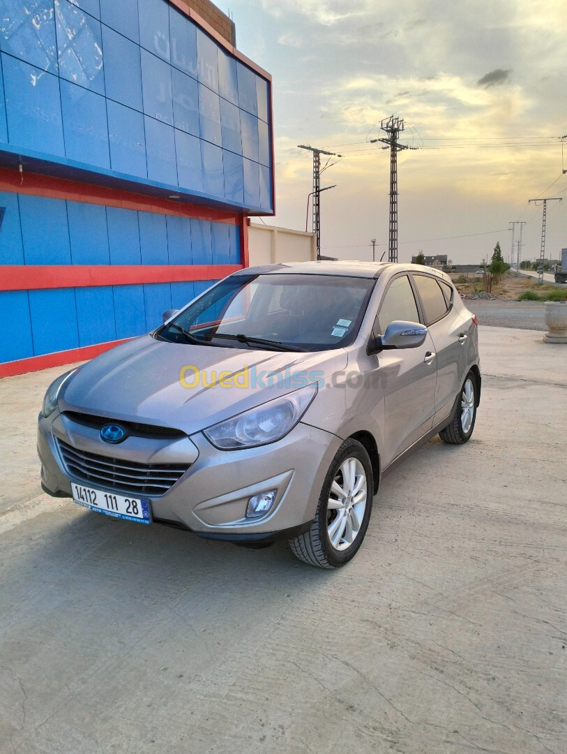 Hyundai Tucson 2011 Tucson