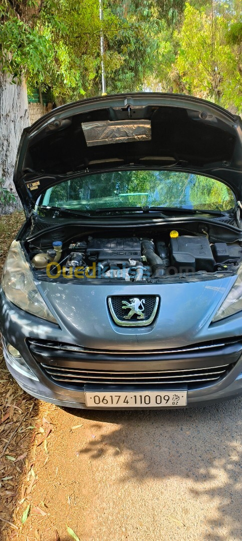 Peugeot 207 2010 207