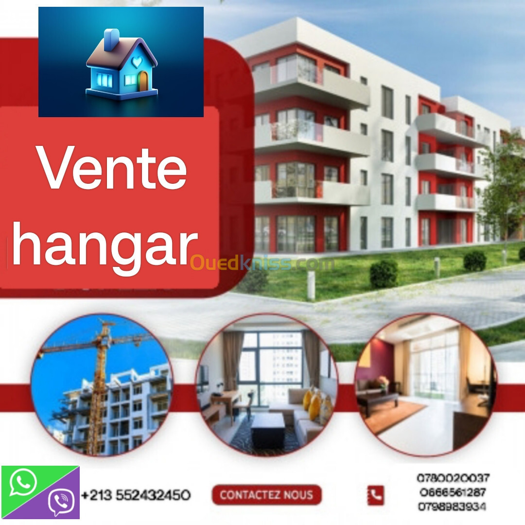 Vente Hangar Blida Bouinan