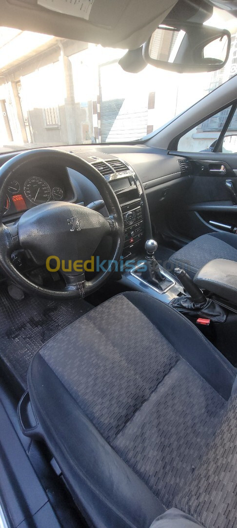 Peugeot 407 2008 407