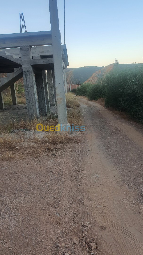 Vente Terrain Boumerdès Beni amrane