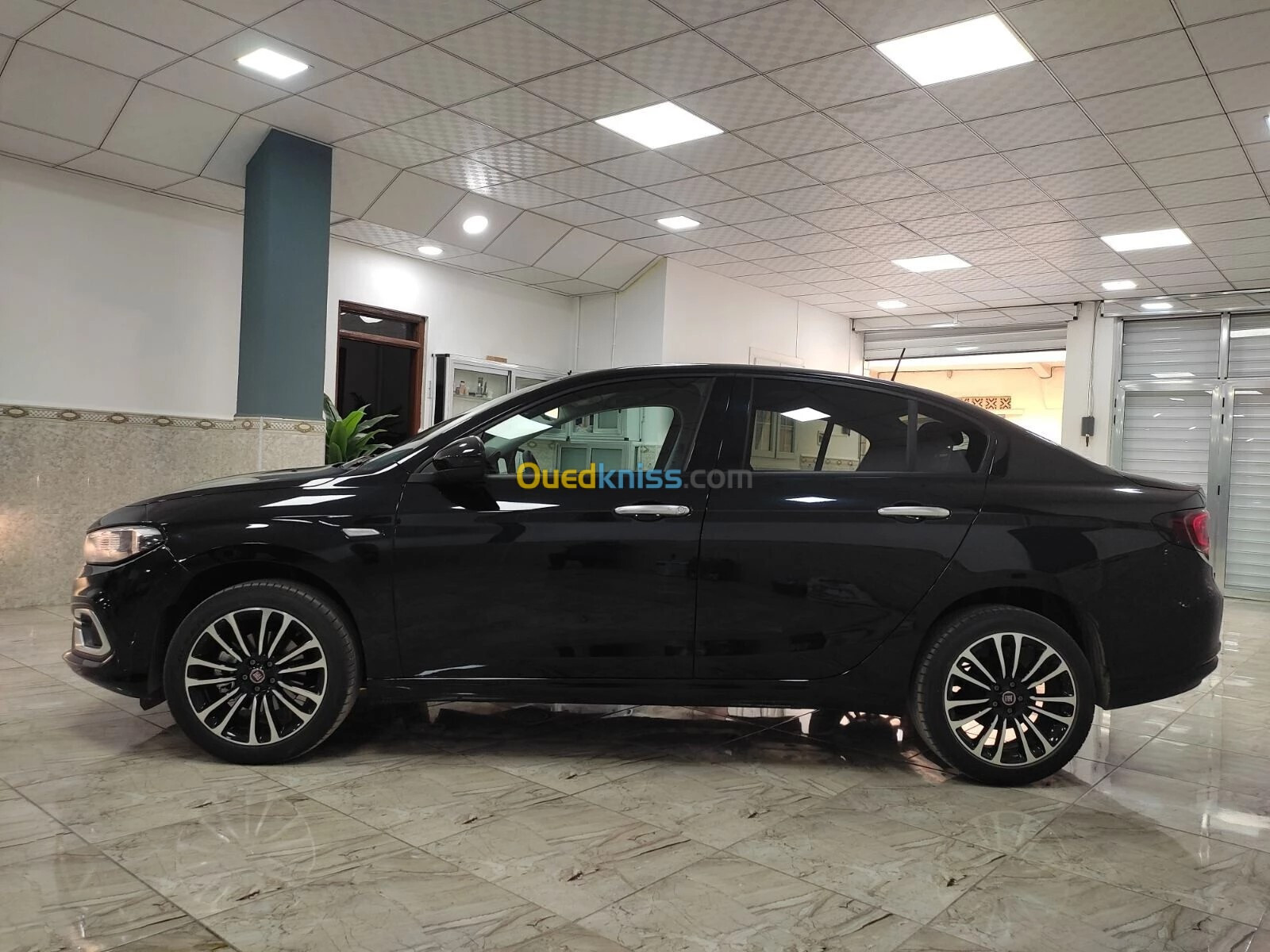 Fiat Tipo 2024 Life