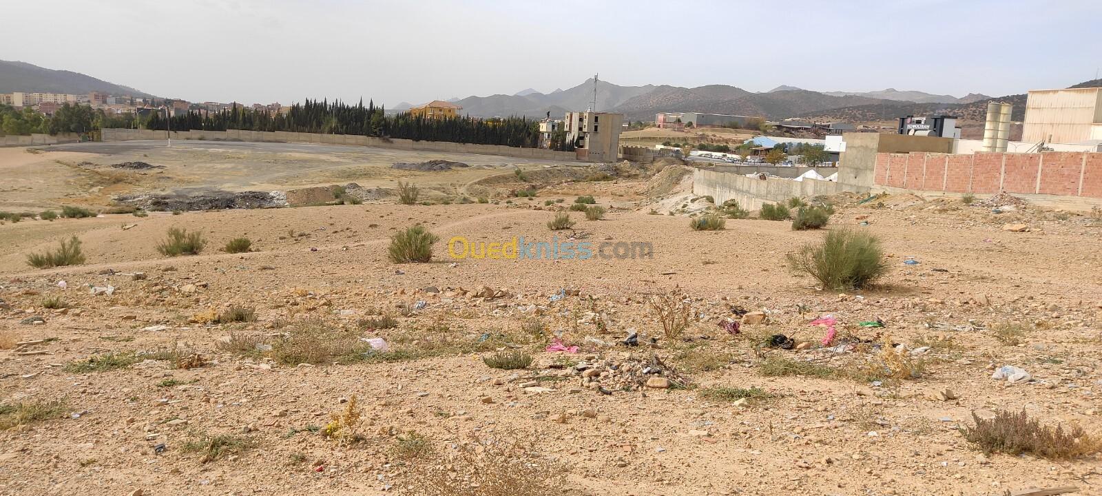 Vente Terrain Batna Fesdis