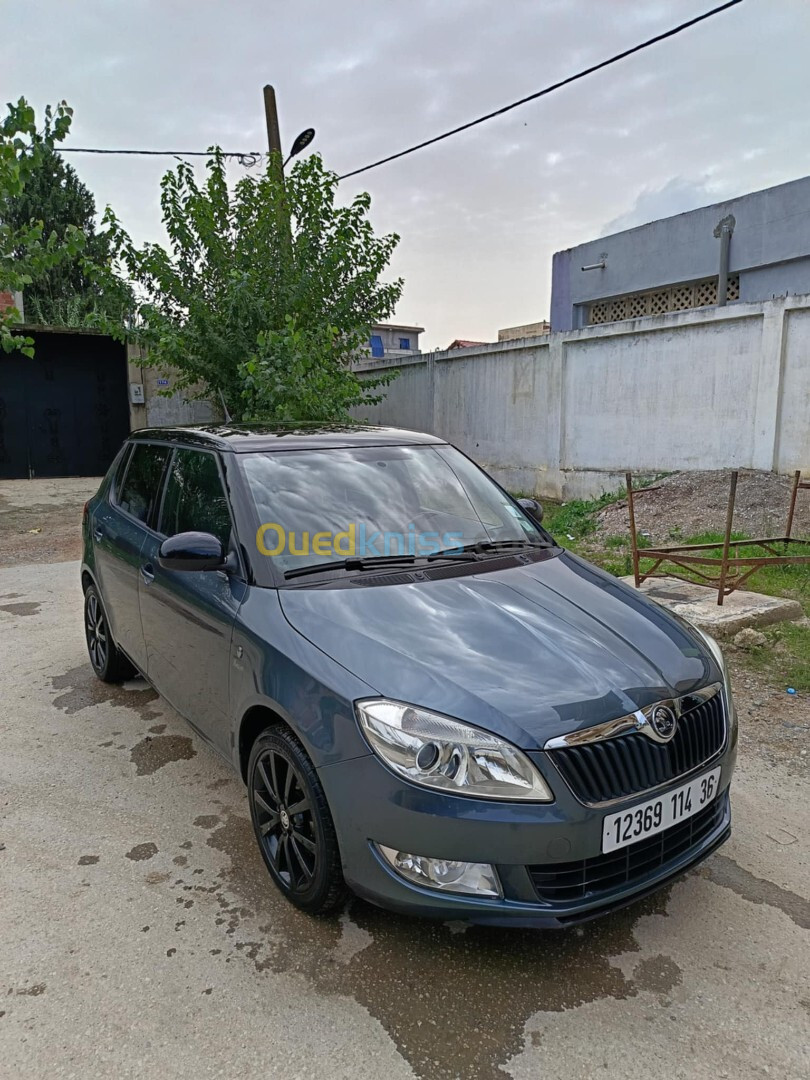 Skoda Fabia 2014 Visage