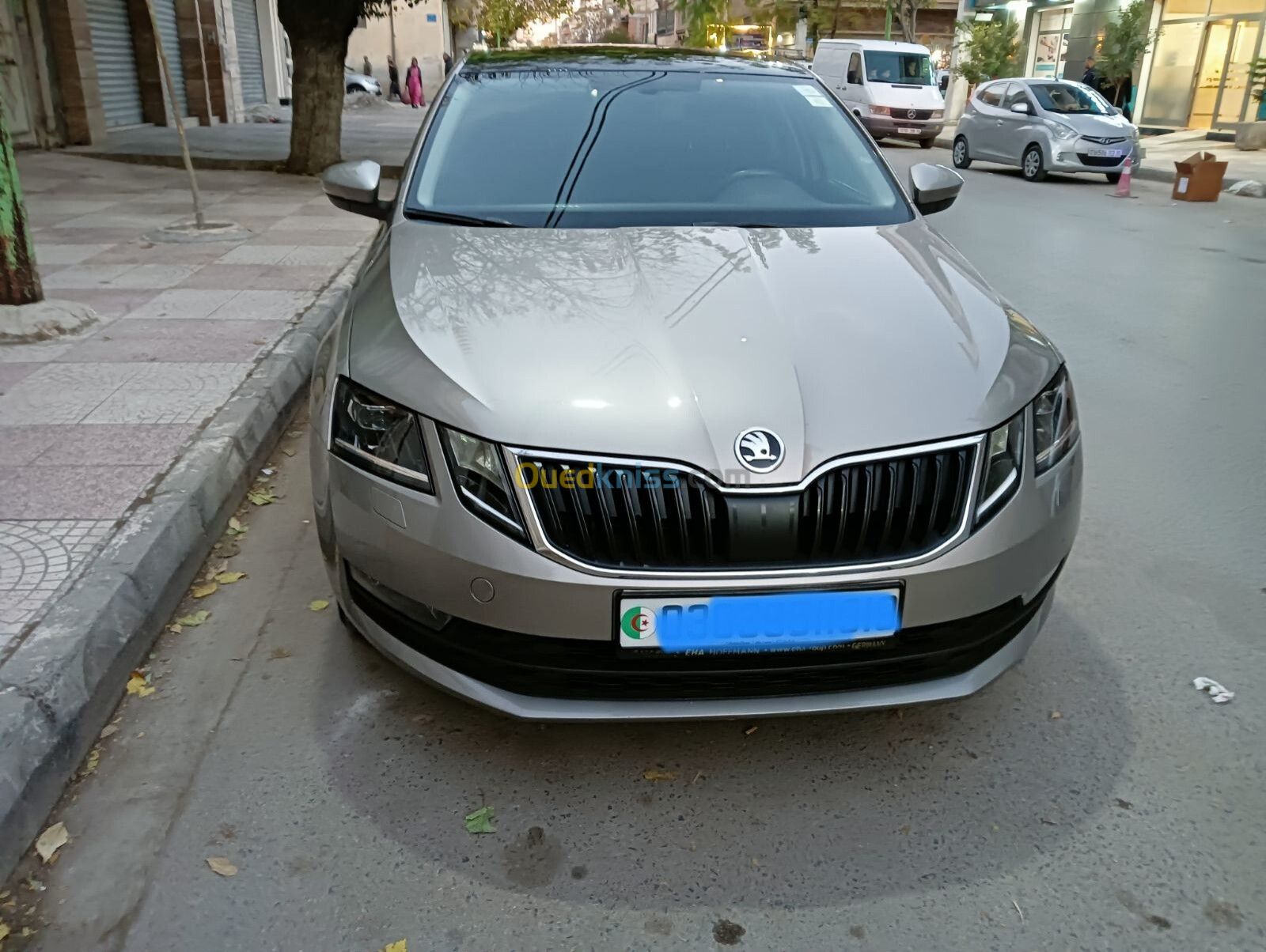 Skoda Octavia 2019 Clever