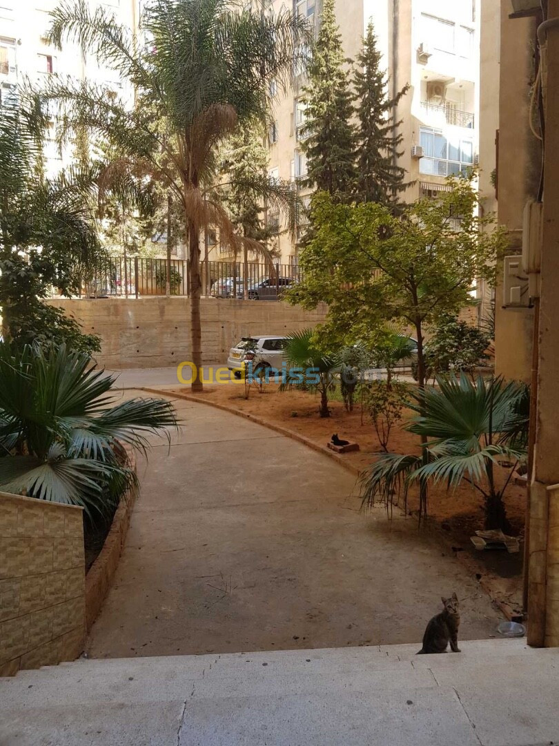 Location Appartement F4 Alger Birkhadem