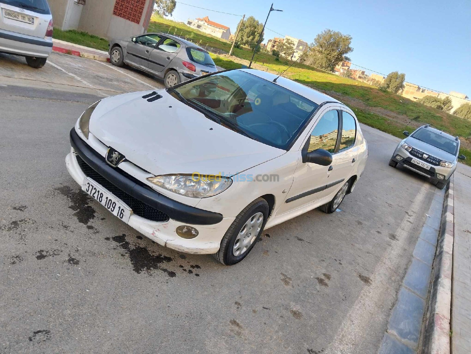 Peugeot 206 Sedan 2009 206 Sedan