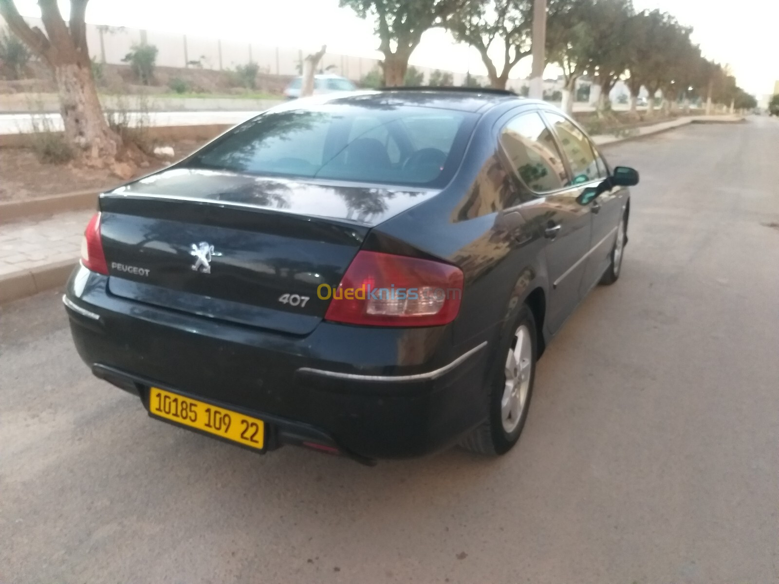 Peugeot 407 2009 