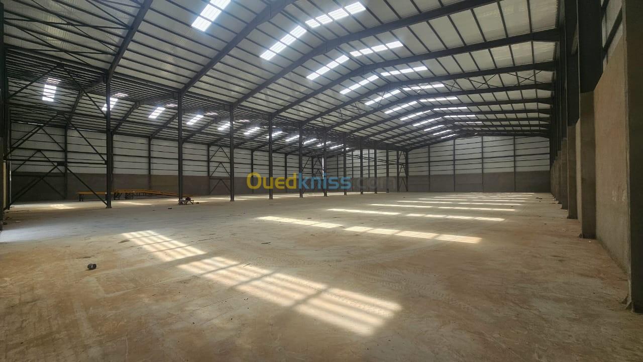 Location Hangar Oran Oran