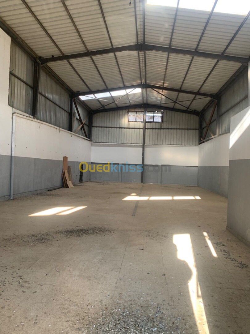 Location Hangar Alger Sidi moussa