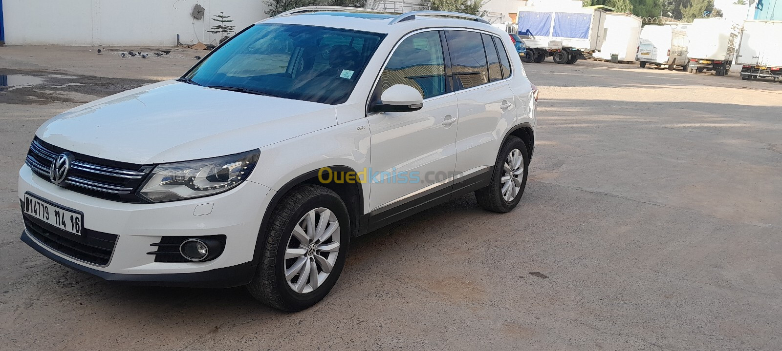 Volkswagen Tiguan 2014 Life