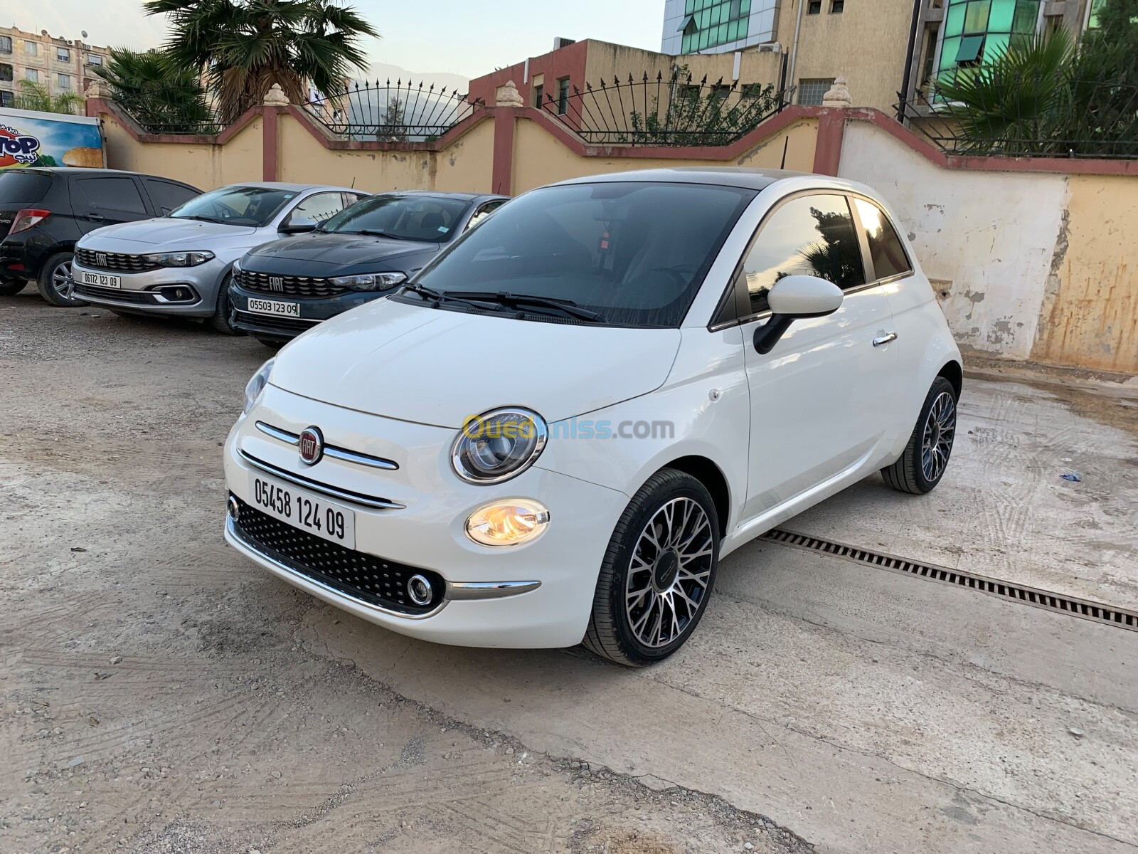 Fiat 500 2024 Dolcevita