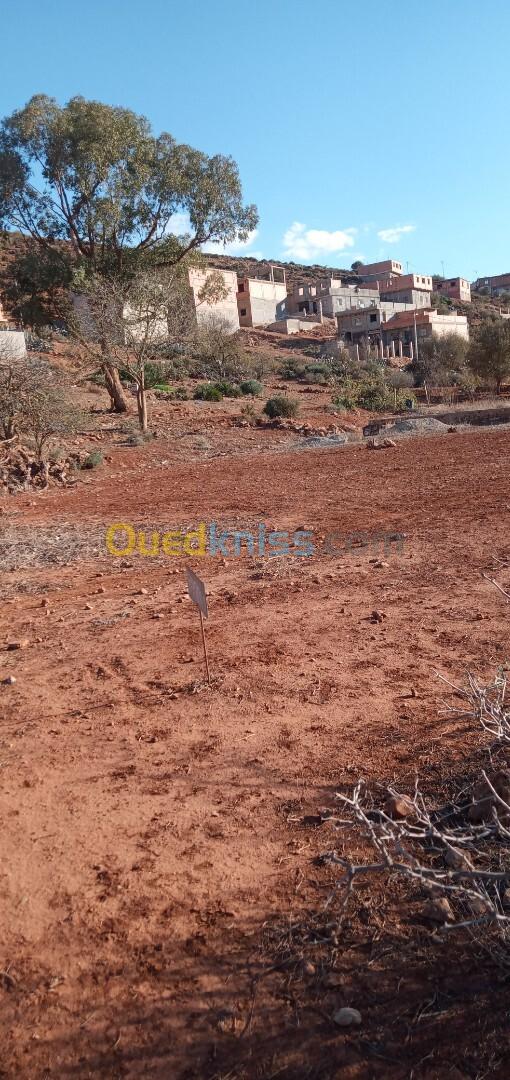 Vente Terrain Tlemcen Tlemcen