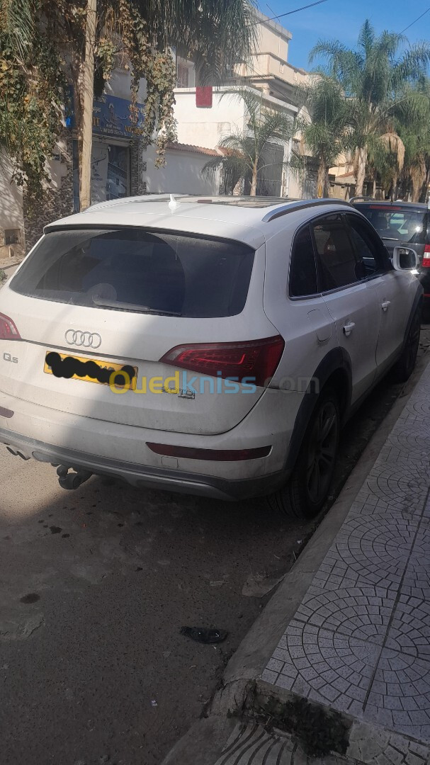 Audi Q5 2013 Off Road