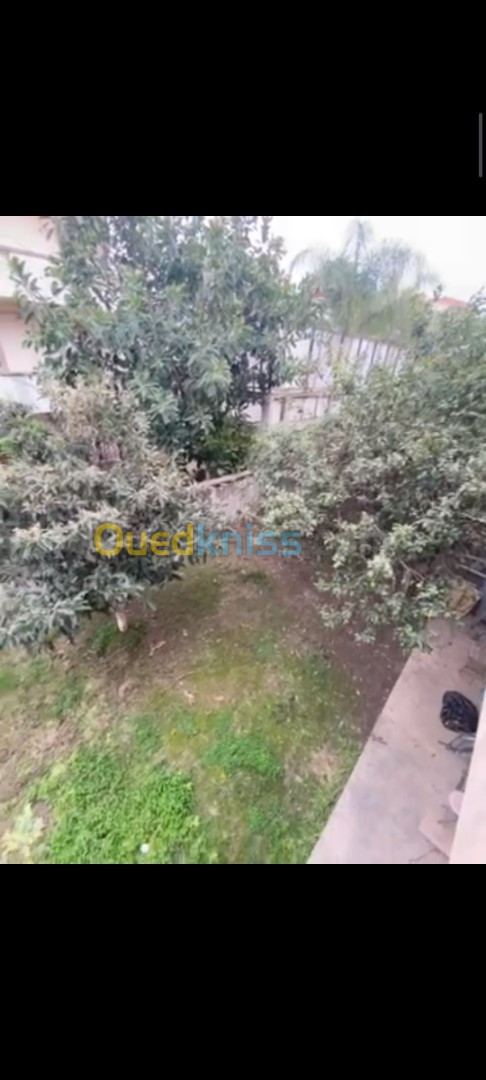 Vente Villa Alger Rouiba