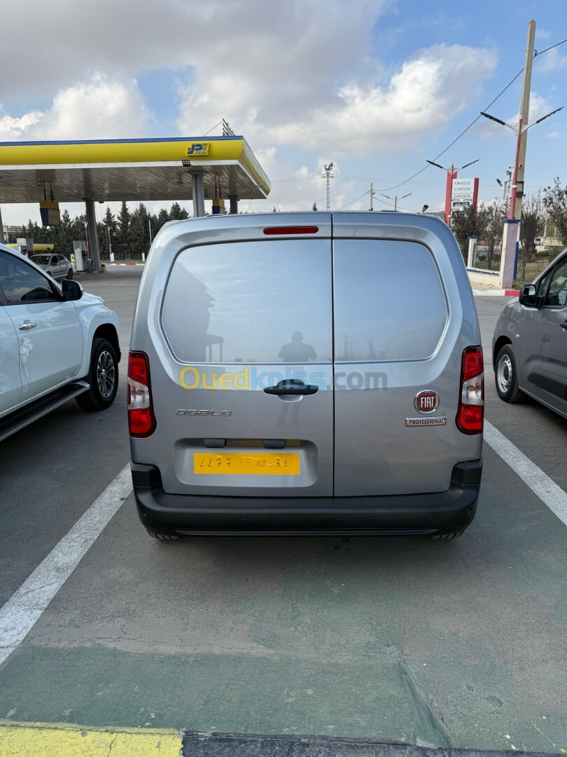 Fiat Doblo 2024 2 plase