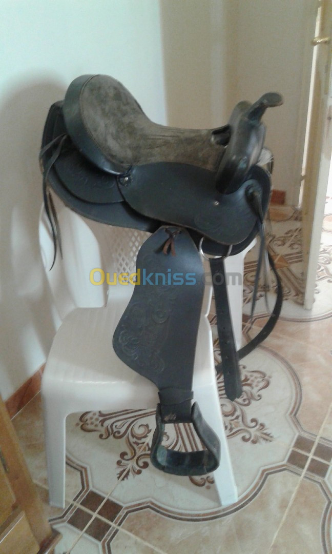 selle de cheval type western