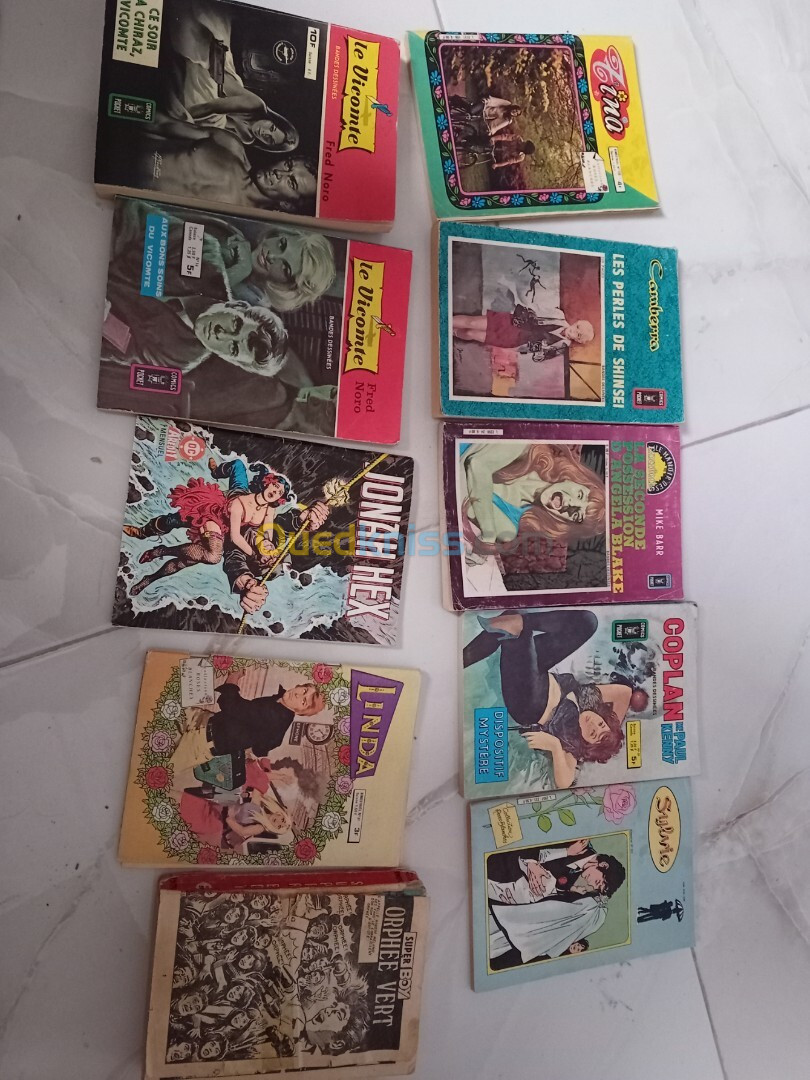 Vends 30 bandes dessinées en langue française 