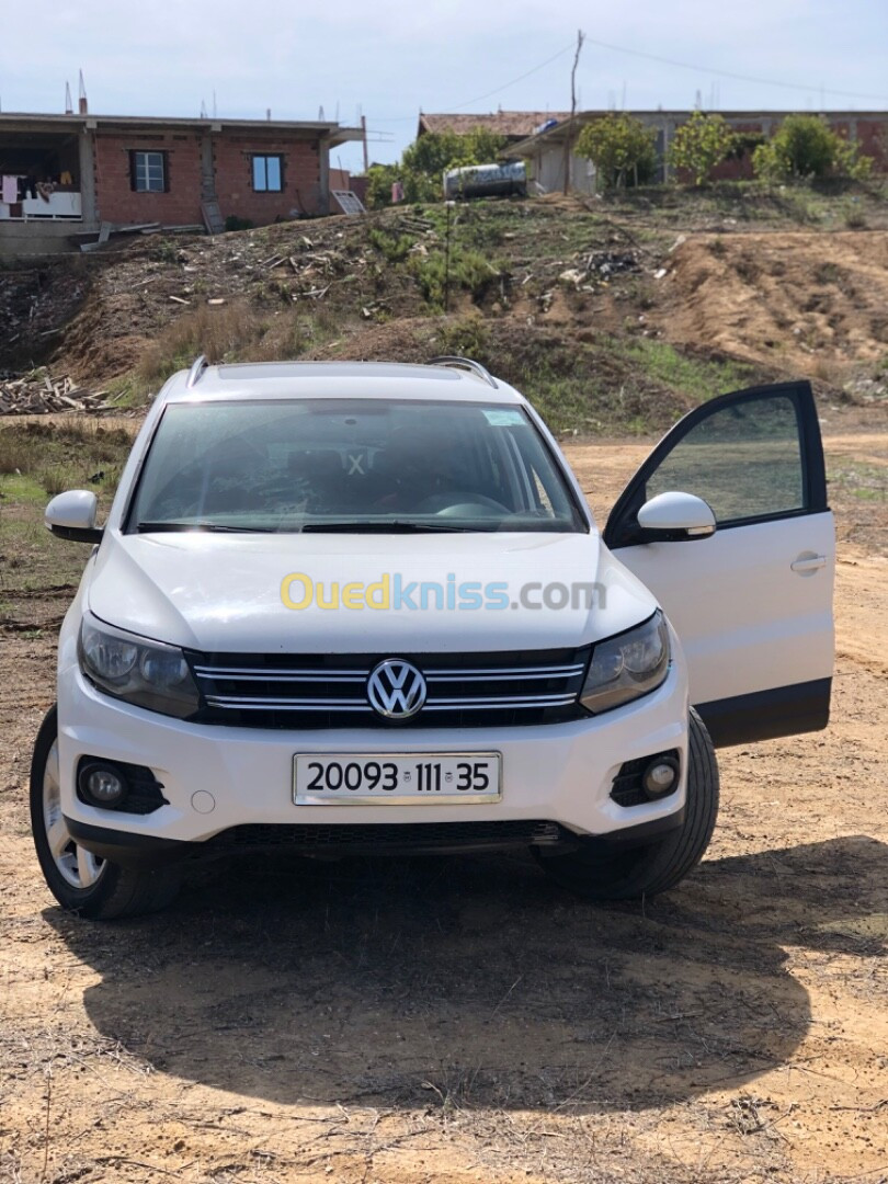 Volkswagen Tiguan 2011 Tiguan