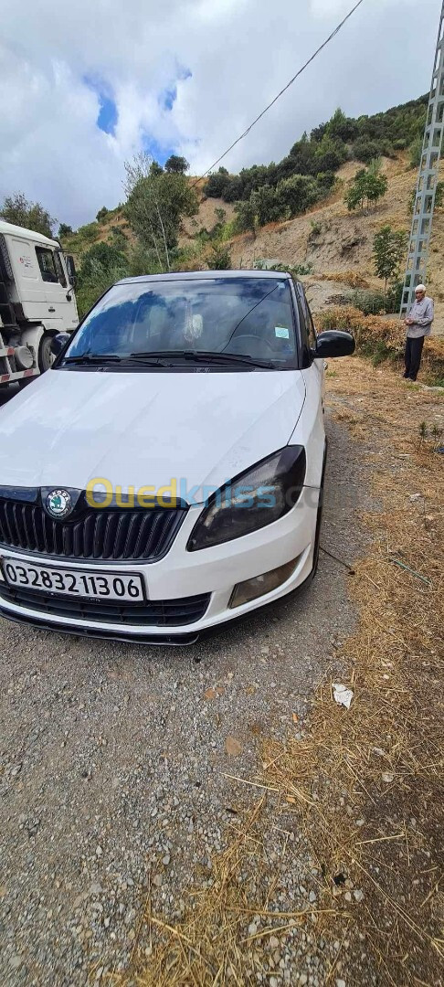 Skoda Fabia 2013 Fresh