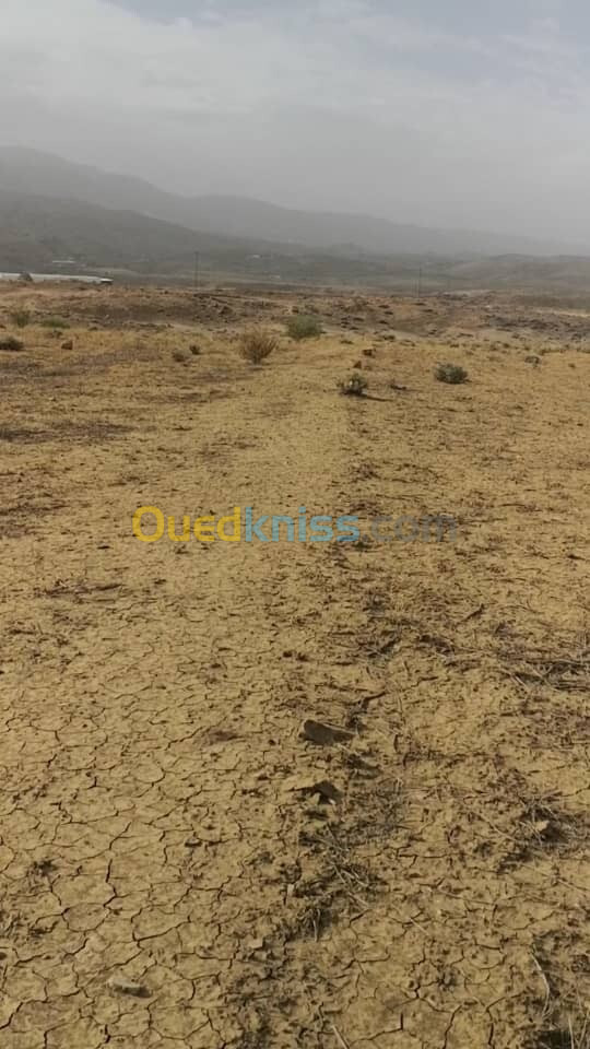 Vente Terrain Agricole Bordj Bou Arreridj Mansoura