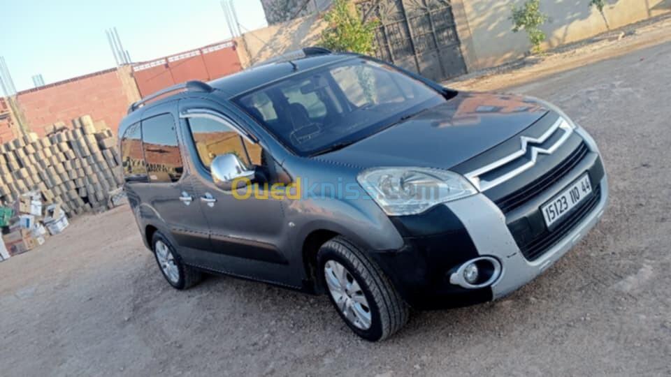 Citroen Berlingo 2010 Berlingo