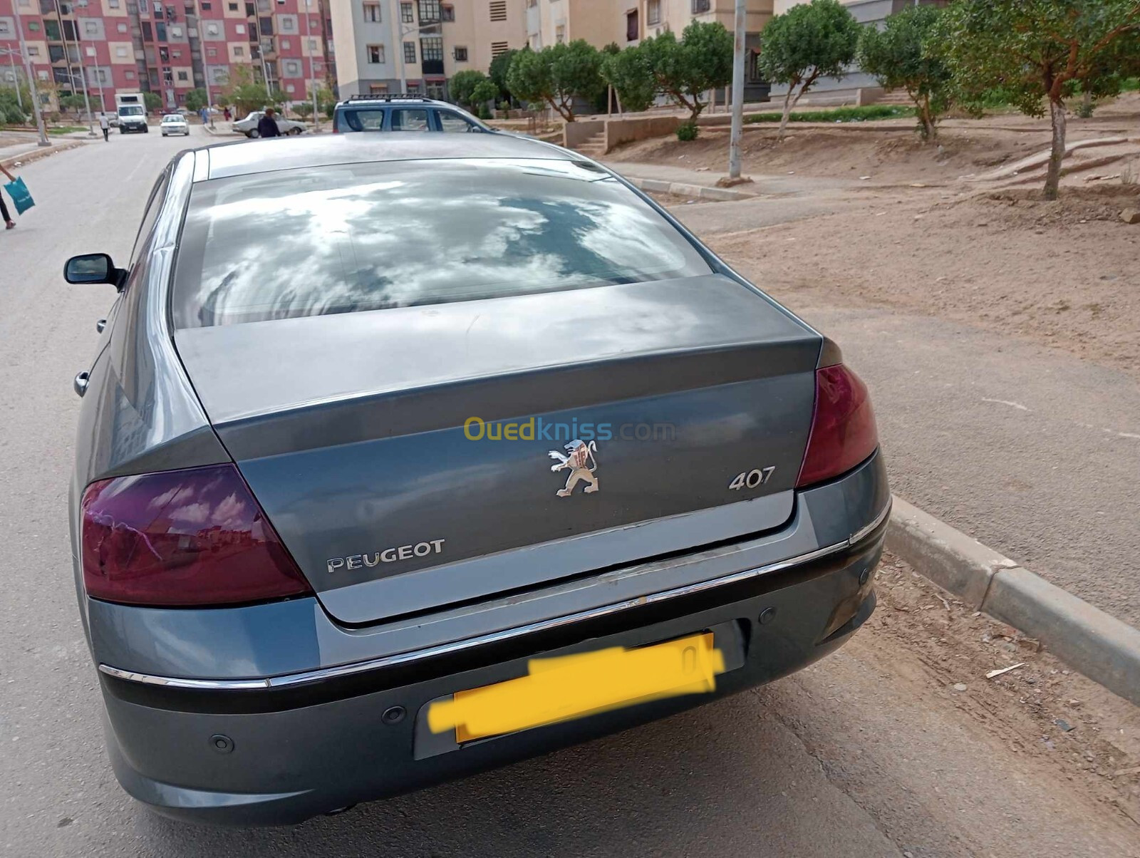 Peugeot 407 2006 