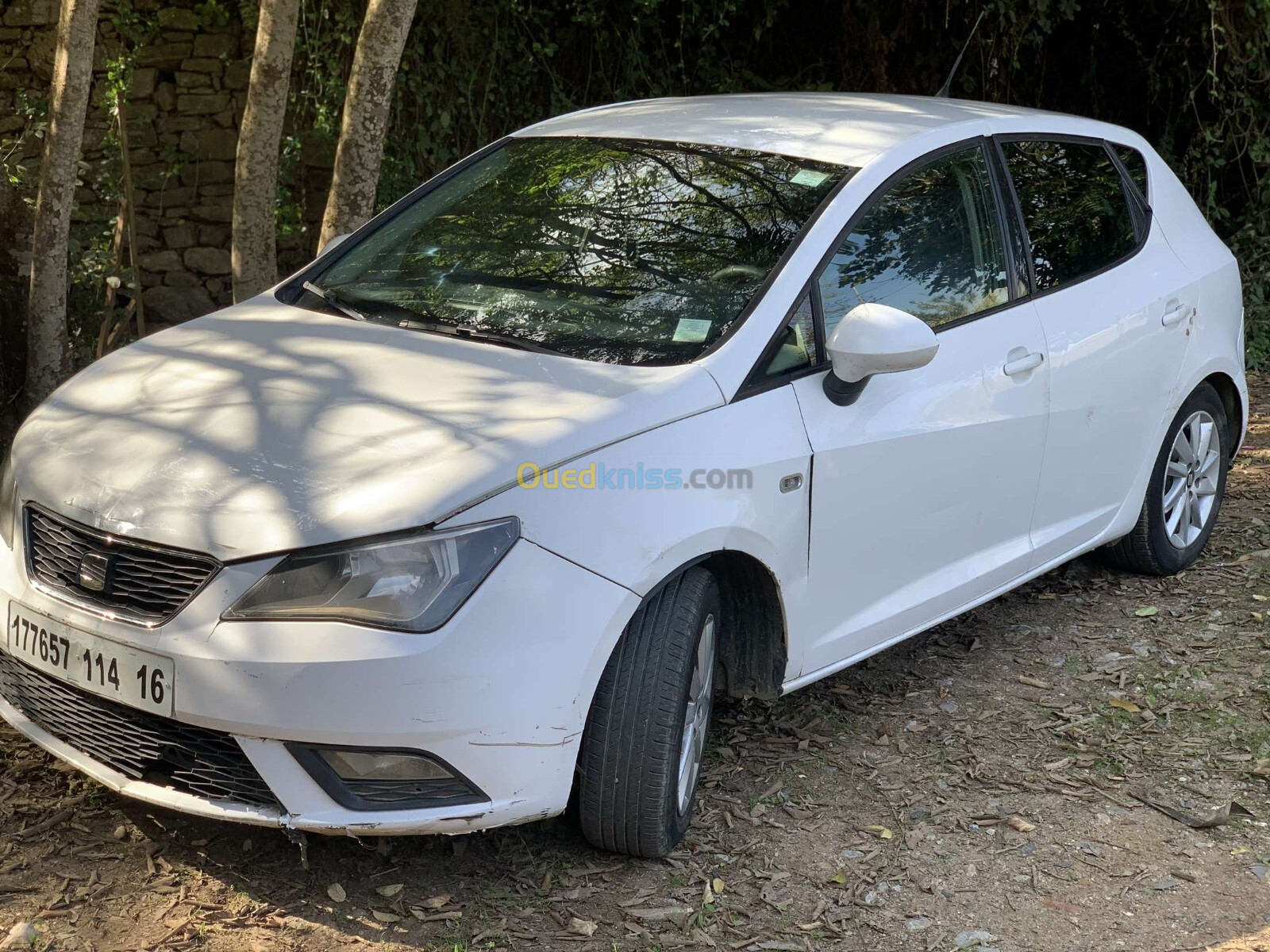 Seat Ibiza 2014 Fully