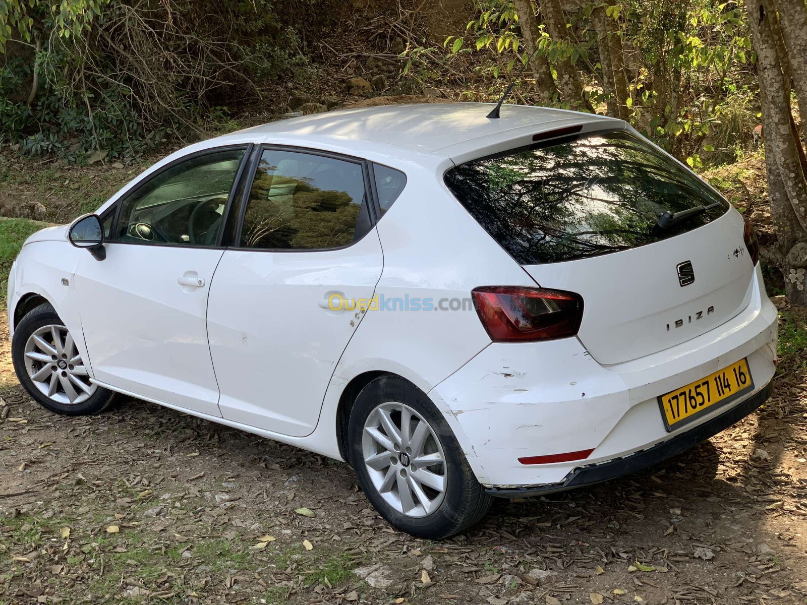 Seat Ibiza 2014 Fully